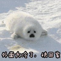 lz2ybx33biw10331.gif