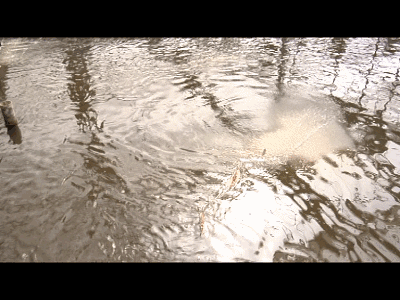 lggcl2yrvl210170.gif