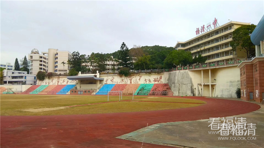 mkkwt2dphf19102.jpg