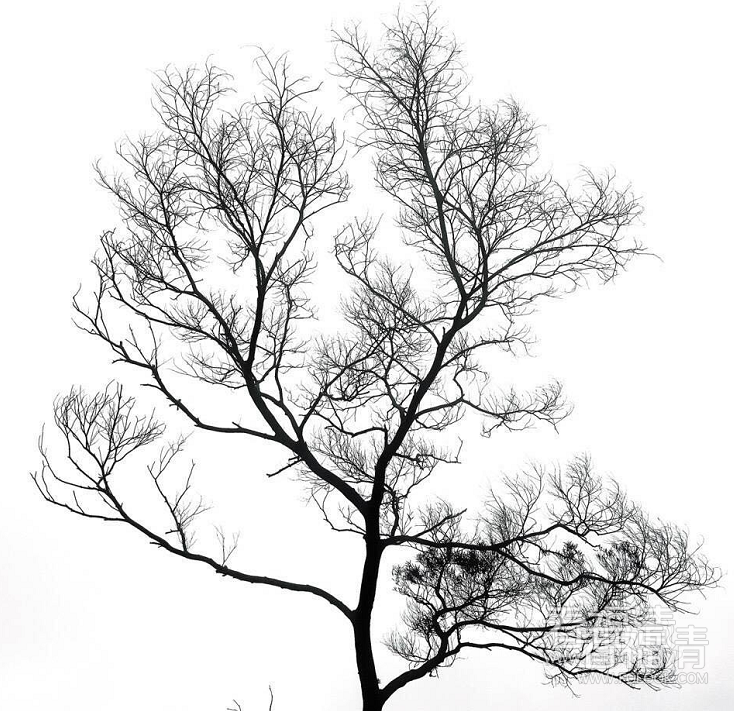 1jrref55rk39057.png