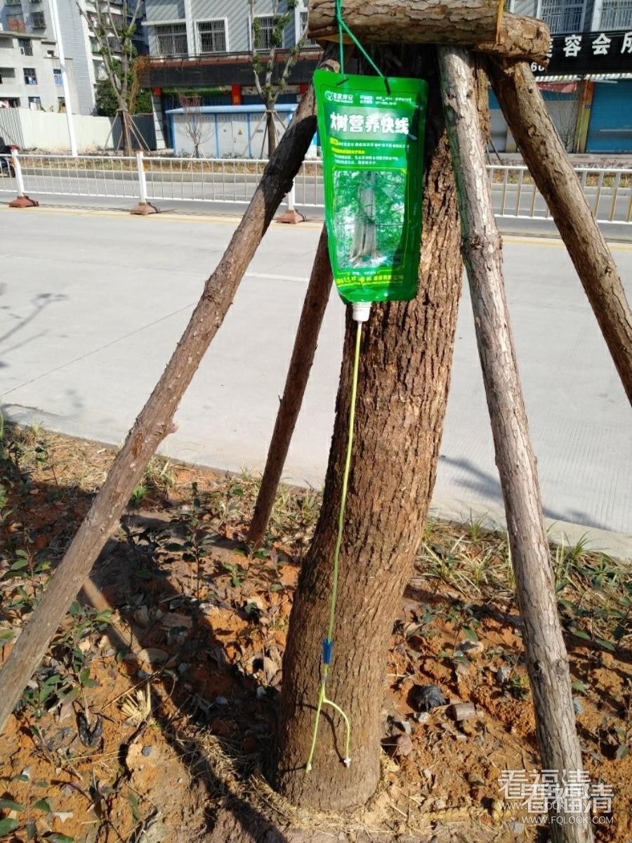 xrq0ibslktu8695.jpg