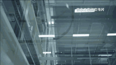 1wmvfsijmlk8278.gif