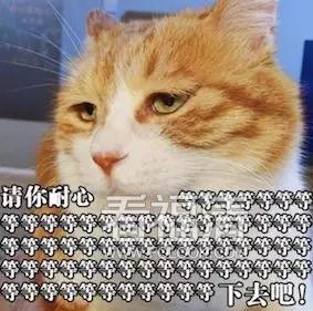 v0jxfuewbgg7541.jpg