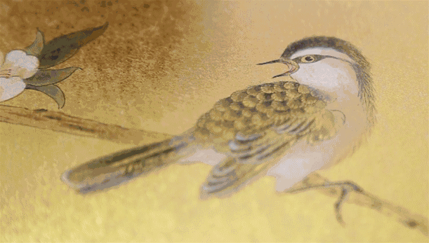 qncxnblovn06630.gif
