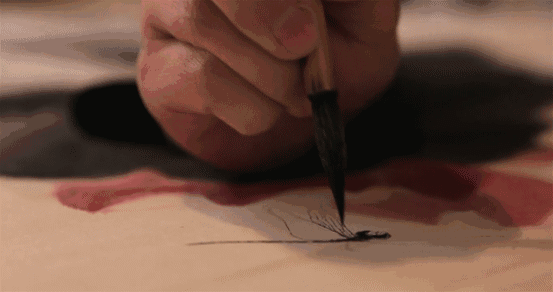 cw05g2pbhdy6626.gif