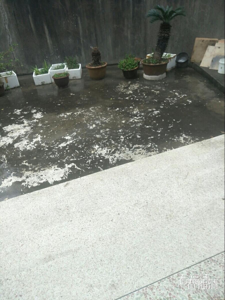 5frvege52e05939.jpg