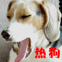 txz4b1gghpl4717.gif