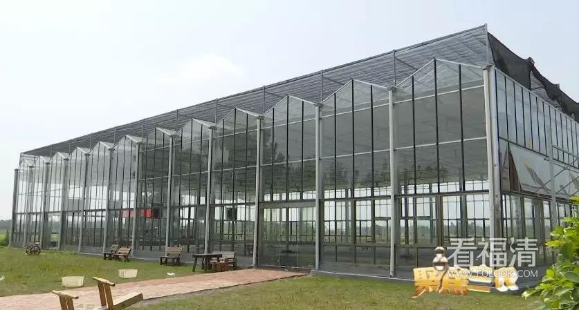 wlmznsq2mkf4310.jpg