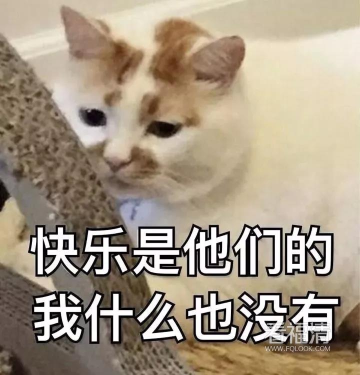 e51dkcz0dlv22608.jpg