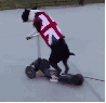 gwl4s5sleo332458.gif