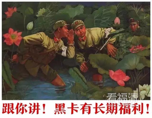 ll4j1d5dgdu32191.jpg