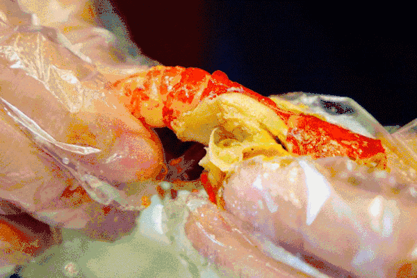 o3nrvmzoufs31846.gif