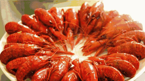 j0z04tqhjln31840.gif
