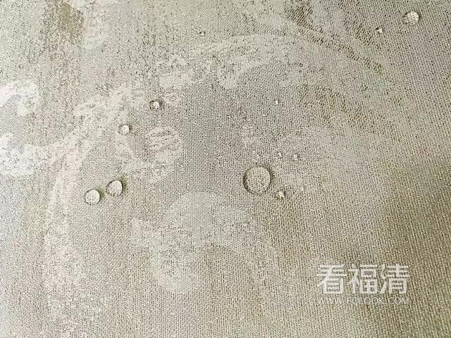 5wljspw43dx21091.jpg
