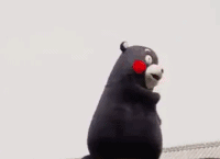 yiesi4nyhbk30322.gif