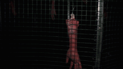 10s13c2p1kf29540.gif
