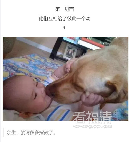 yx2vf0btsac16247.png