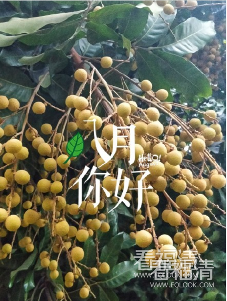 4uapq35ykhb1800.png