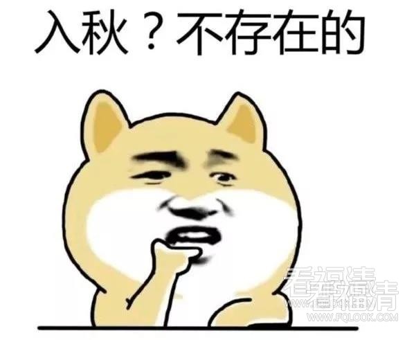 hkikahd4ri41521.jpg