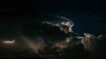 c5dsobh4u3t612.gif