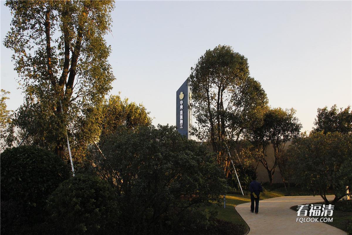 uq1mam235f28127.jpg