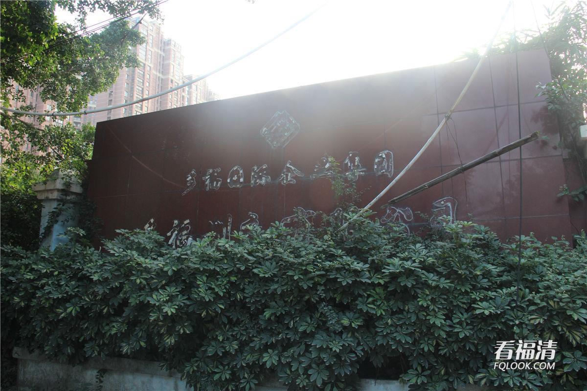 44nt2dcby007910.jpg