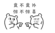 ynlfgvnnyio16708.png