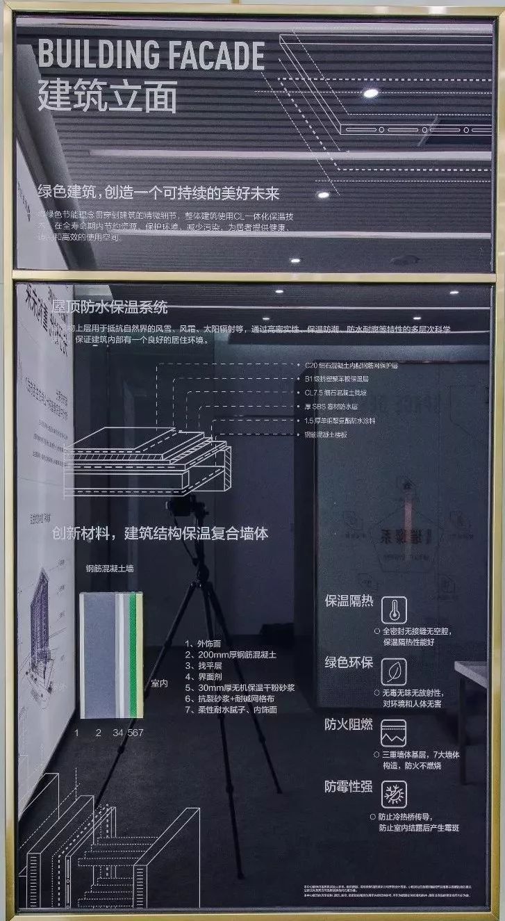 xmyxtett54n15235.jpg