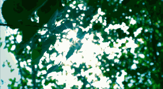 nkrg1bhdpbg14397.gif