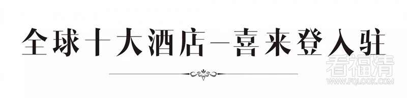 yocjvt33qdy12542.jpg