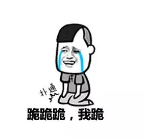 t5rjg0tfdkn12435.jpg