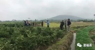 pmoeb5pbb4111881.jpg