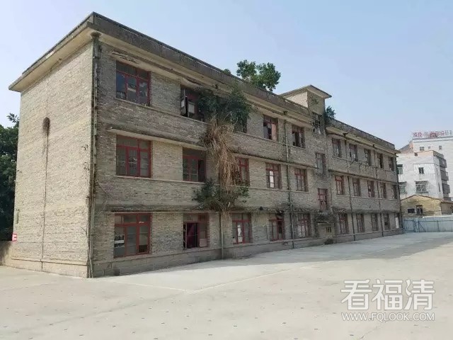 3ij4dyjfq0y11421.jpg