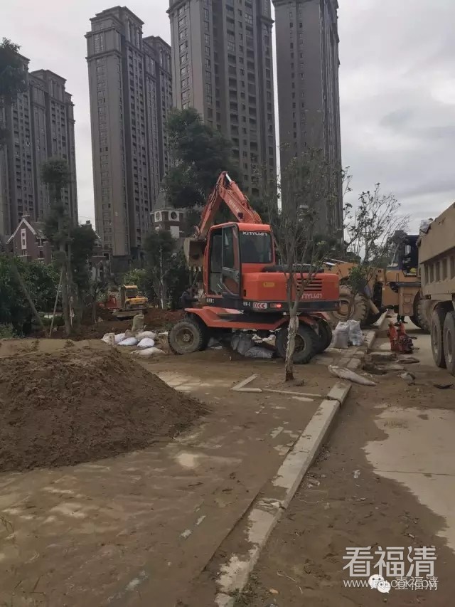 p1zfghlh1yu10384.jpg