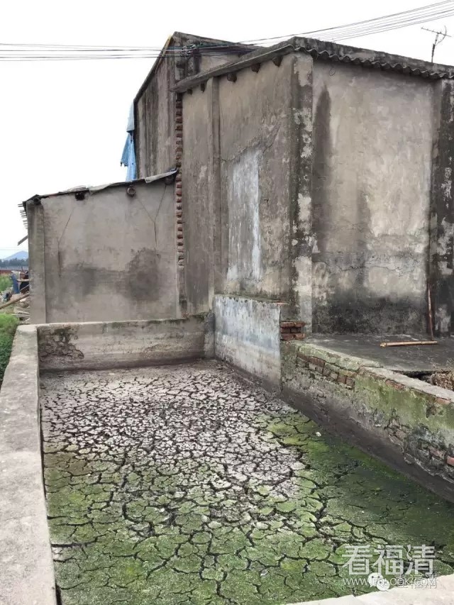 okt0oe2wenh10250.jpg