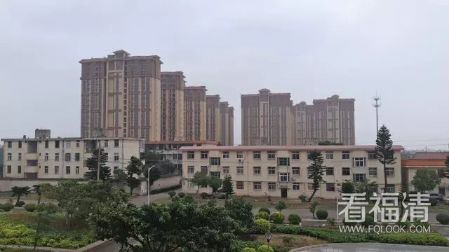 lwn3i4brvn49531.jpg