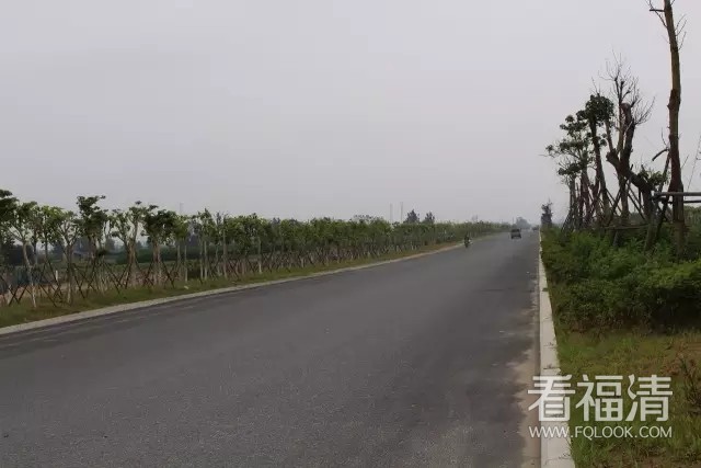 5vjzvkv5mkv9533.jpg
