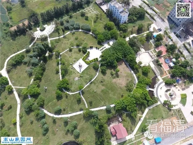 olbi3t0cnjh9336.jpg