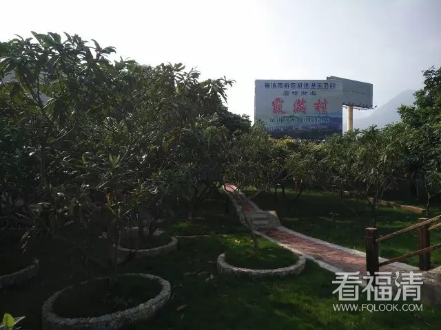 gwos2dciyvg9235.jpg