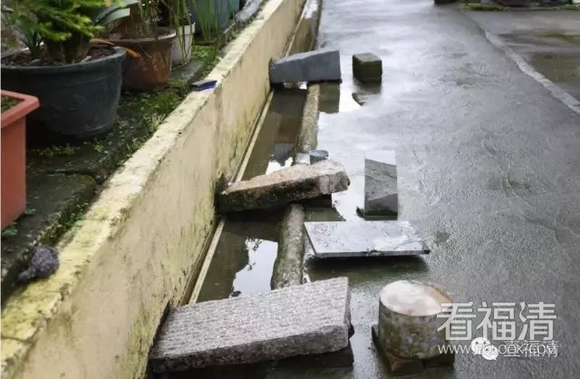 xuqd1fipv3t9199.jpg