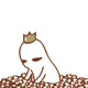 hou51qwxlo09129.gif