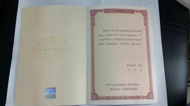 0iyo41d0fce8935.jpg