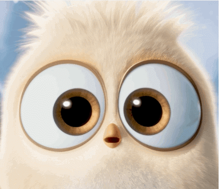 l3xagkpqgsf8855.gif
