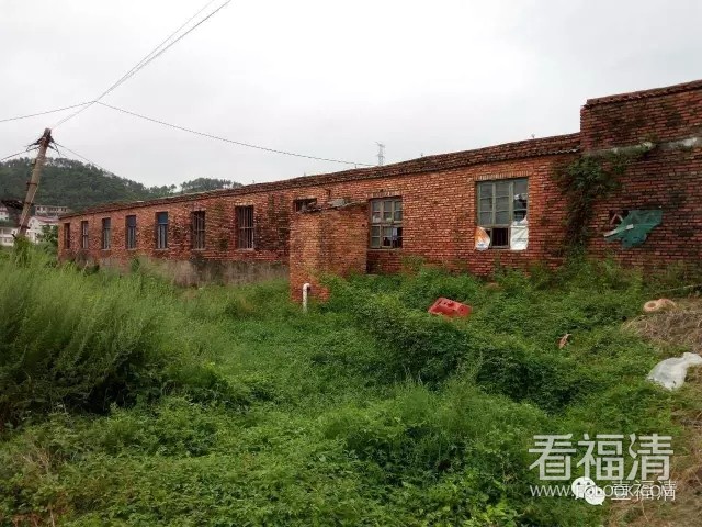 tpttmx1j0cv8701.jpg
