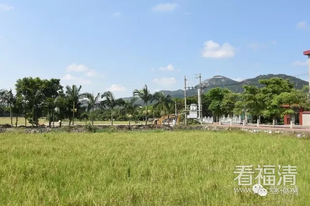 pq4neyrehu28552.jpg