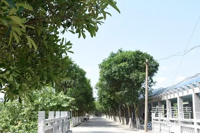 txebw242fqi8544.jpg