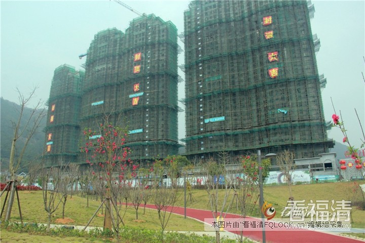 an3piddflh26312.jpg