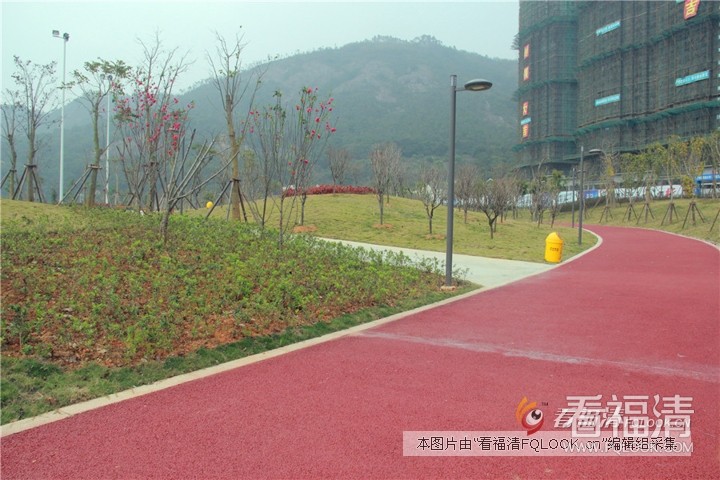 cszlxgpf4kf6309.jpg