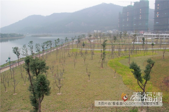 ntp1ing3iuf6305.jpg