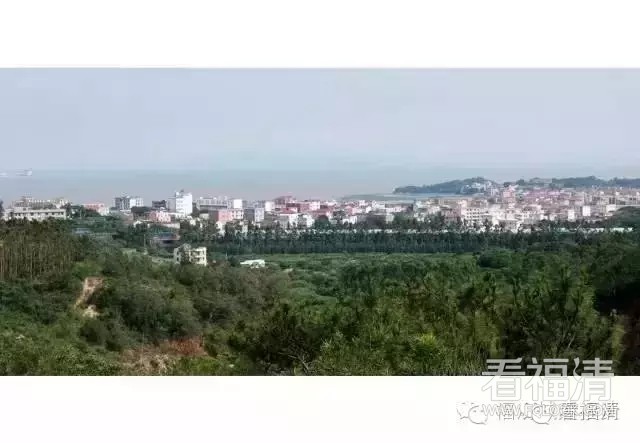 ezzq1nfk4qa5671.jpg